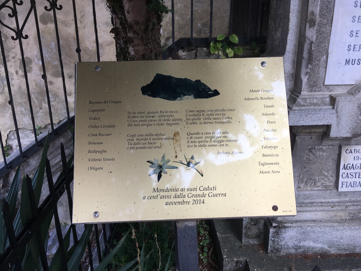 d castelnuovo.jpg